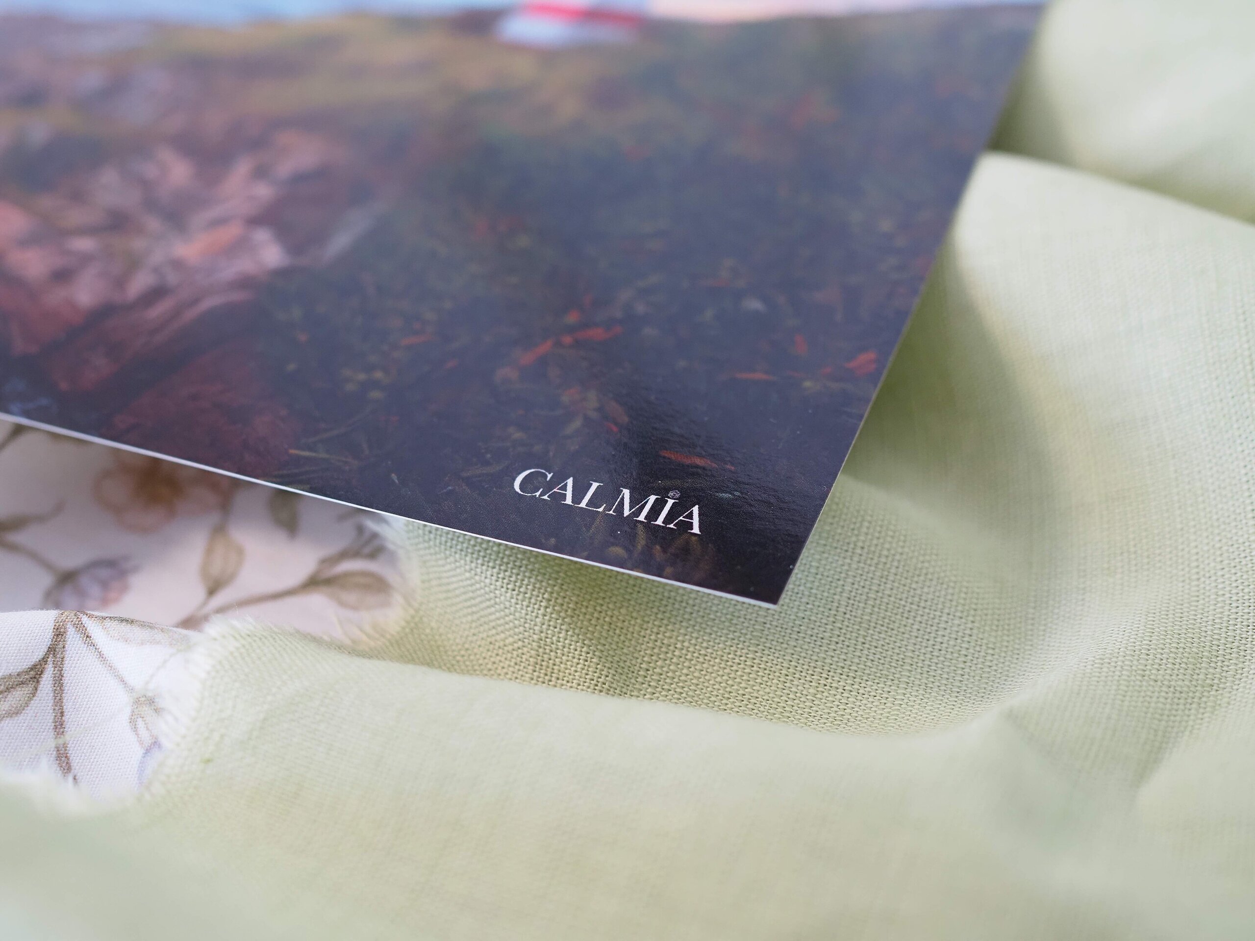 Lámina Cabo Estai en Vigo, Galicia - 4